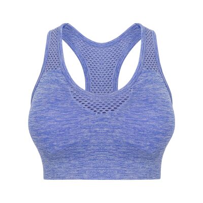 Ladies Seamless Crop Top Thumbnail